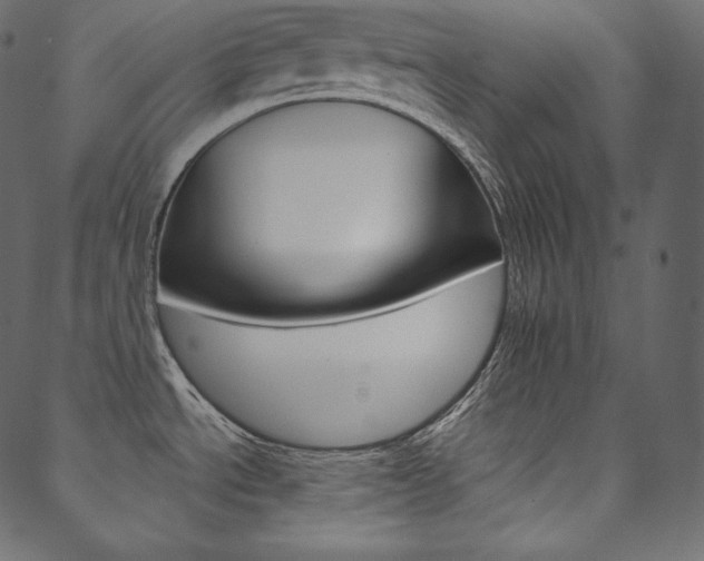 X0000088741534200705311039