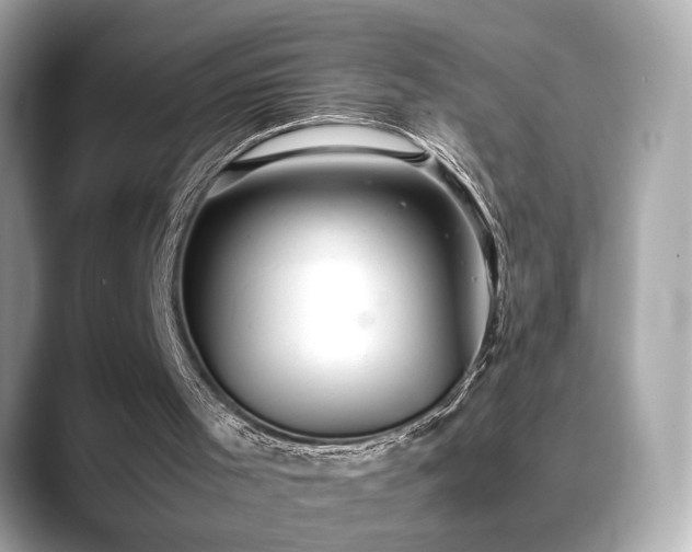 X0000088740001200705311456
