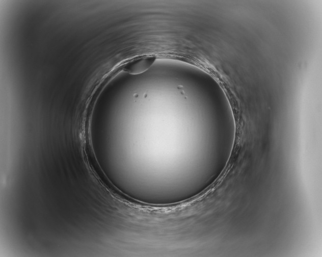 X0000088740002200705311456