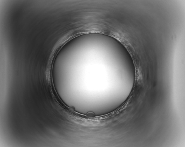 X0000088740004200705311456