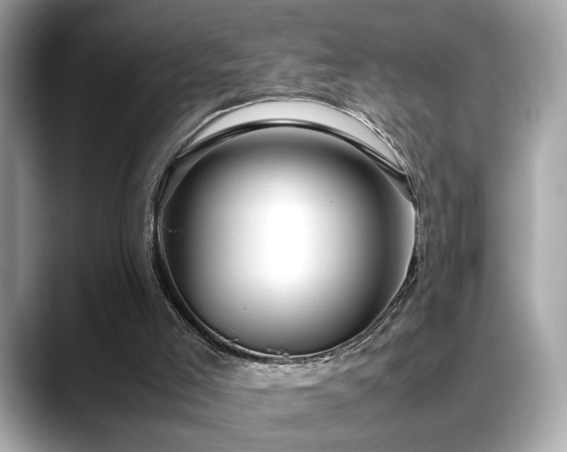 X0000088740005200705311456