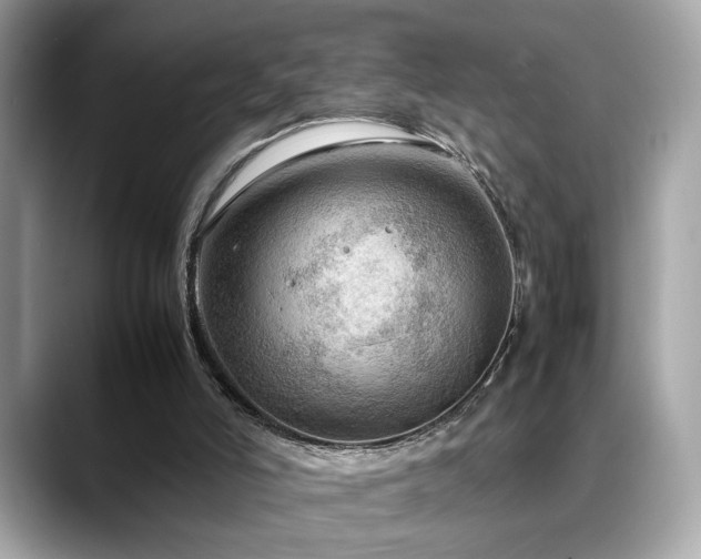 X0000088740006200705311456