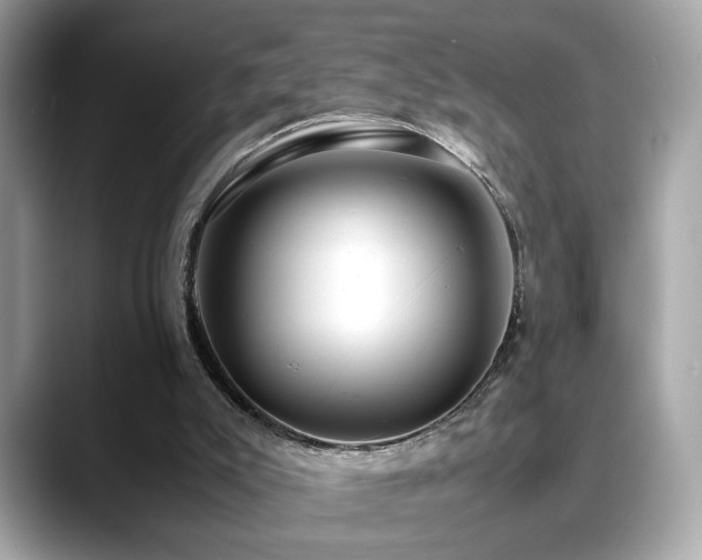 X0000088740007200705311456