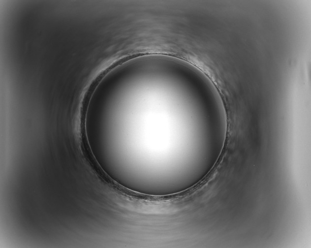 X0000088740008200705311456