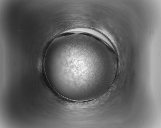 X0000088740009200705311456