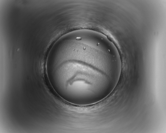 X0000088740010200705311456