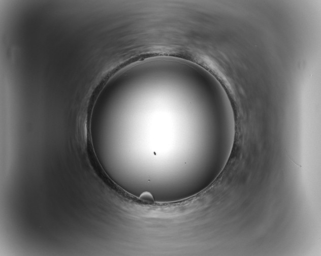 X0000088740011200705311456