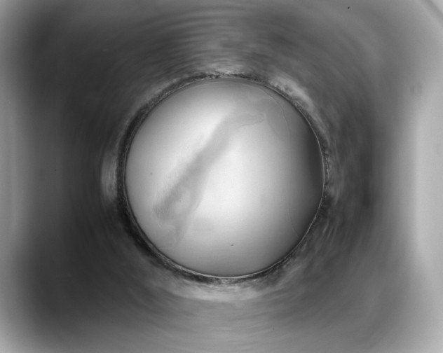 X0000088740012200705311456