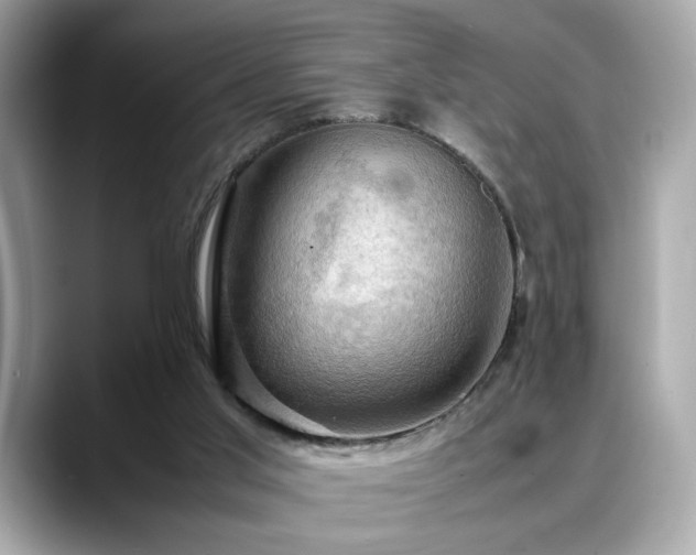 X0000088740013200705311456
