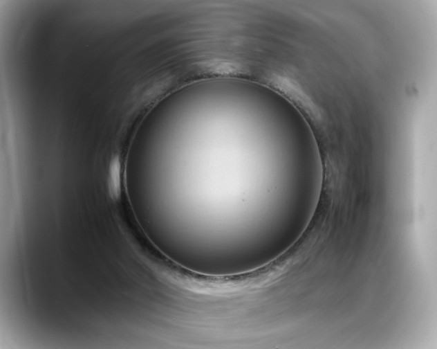 X0000088740014200705311456