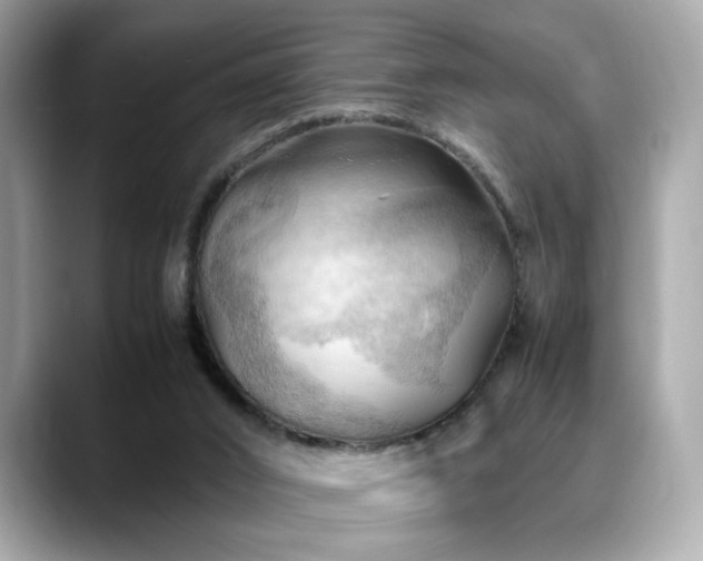 X0000088740016200705311456