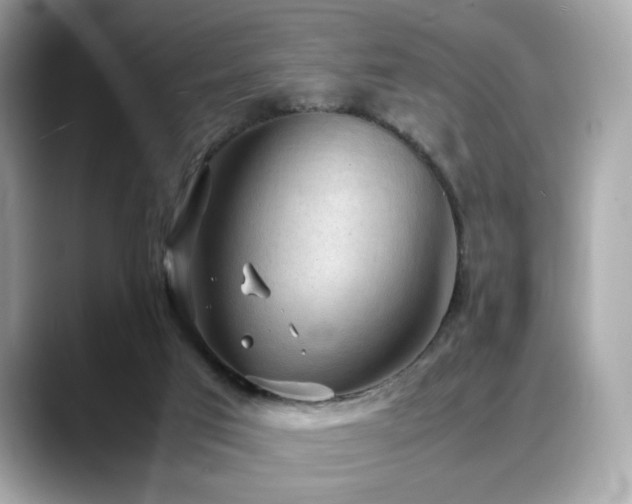 X0000088740017200705311455