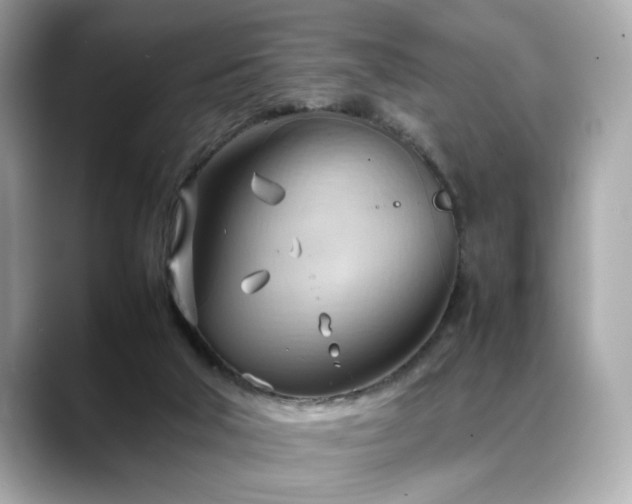 X0000088740018200705311455