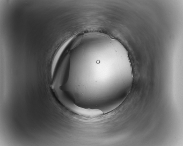 X0000088740019200705311455