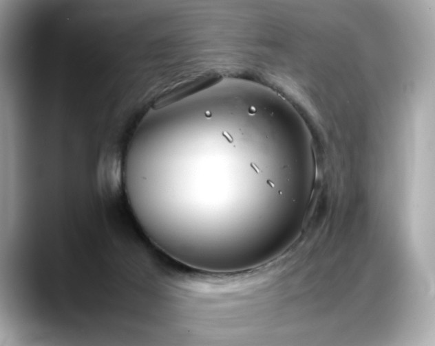 X0000088740021200705311455