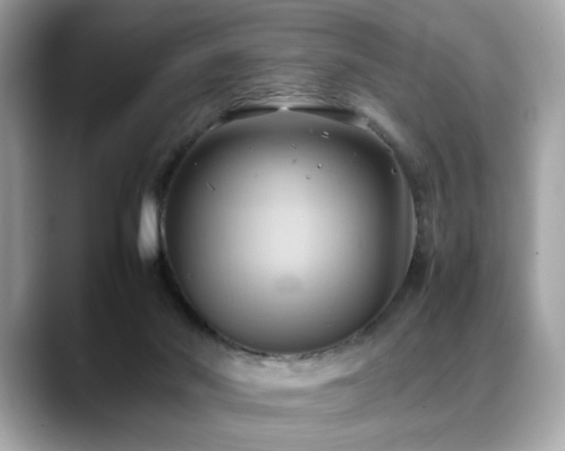 X0000088740022200705311455