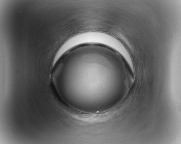 X0000088740023200705311455