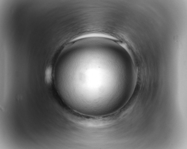 X0000088740024200705311455