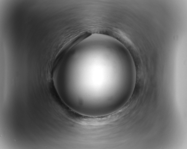 X0000088740025200705311455