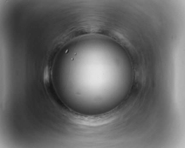 X0000088740026200705311455
