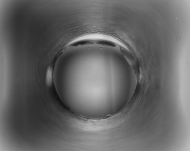 X0000088740027200705311455
