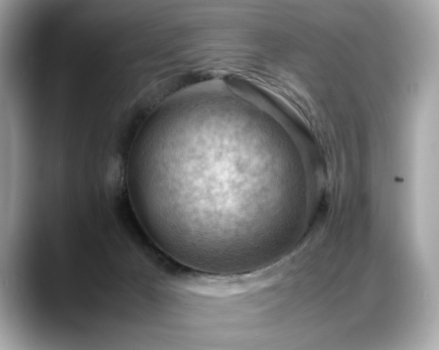 X0000088740029200705311455