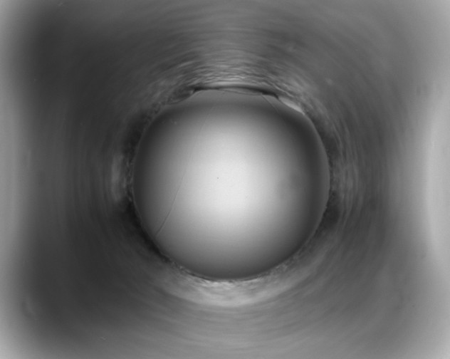 X0000088740030200705311455