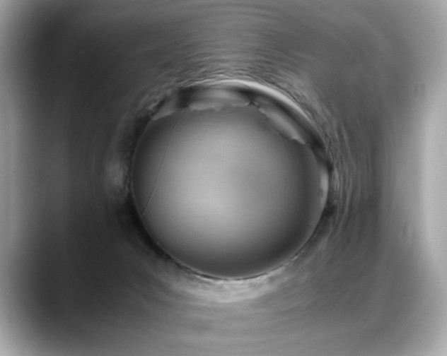 X0000088740031200705311455