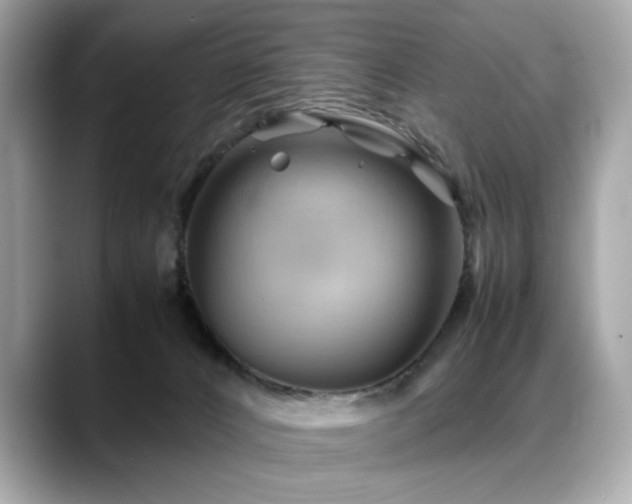 X0000088740032200705311455