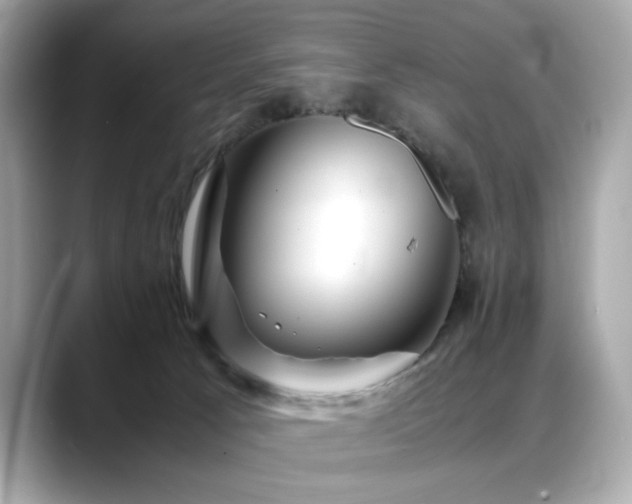 X0000088740033200705311455