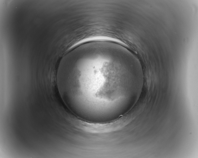 X0000088740034200705311455