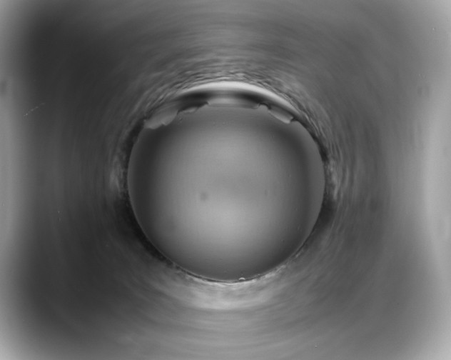 X0000088740035200705311455