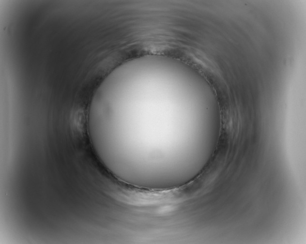 X0000088740036200705311455