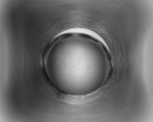 X0000088740037200705311455