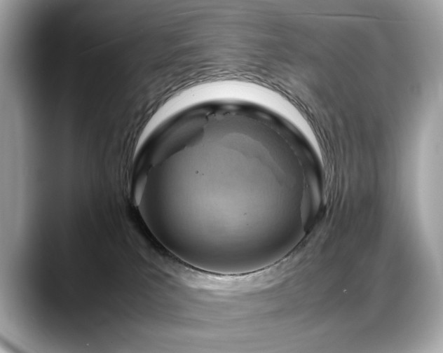 X0000088740039200705311455