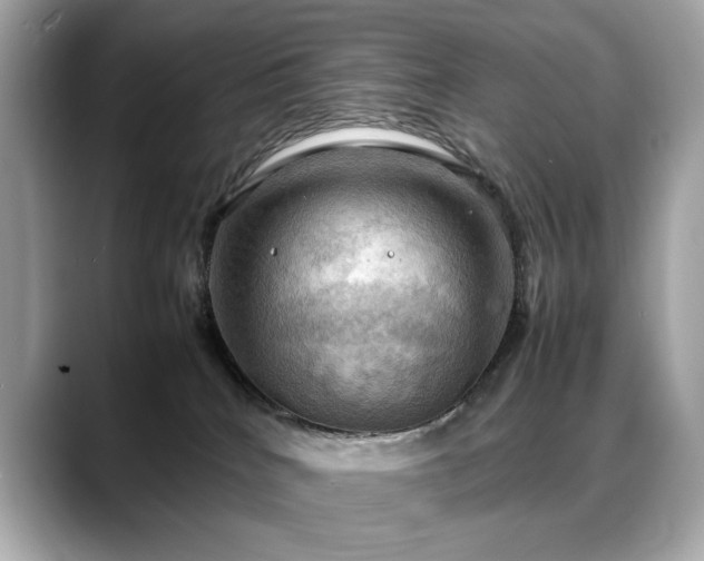 X0000088740040200705311455