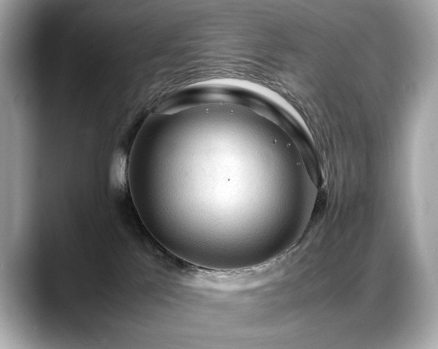 X0000088740041200705311455