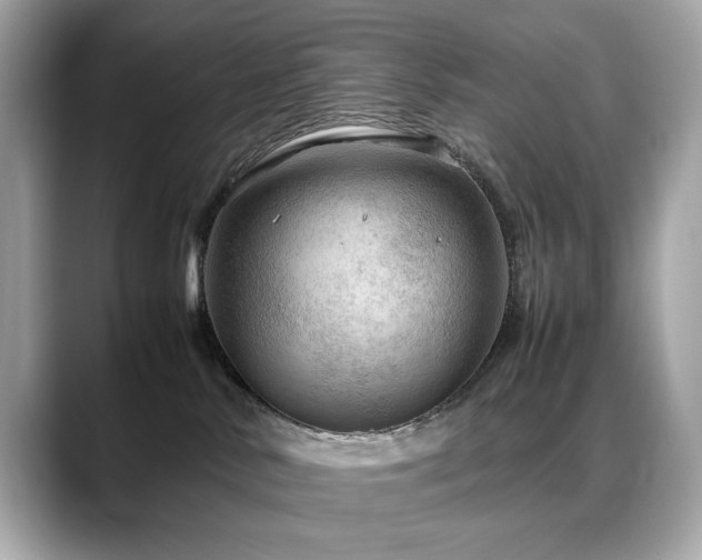 X0000088740042200705311455