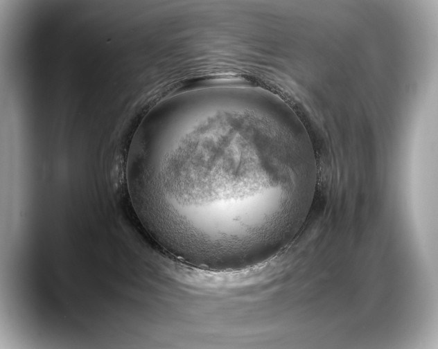 X0000088740043200705311455