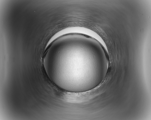 X0000088740045200705311455
