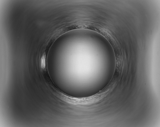 X0000088740046200705311455