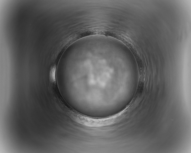 X0000088740047200705311455
