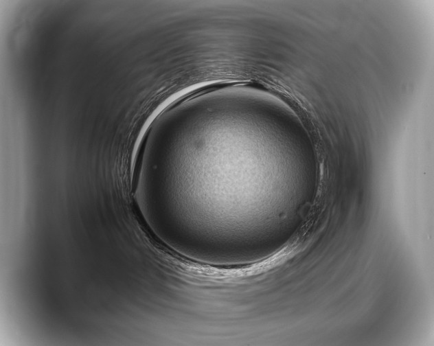 X0000088740048200705311455