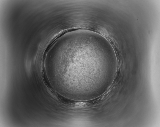 X0000088740050200705311455