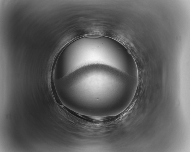 X0000088740051200705311455