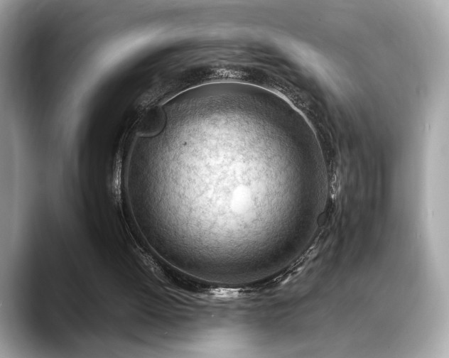 X0000088740052200705311455