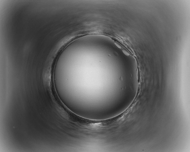 X0000088740054200705311455