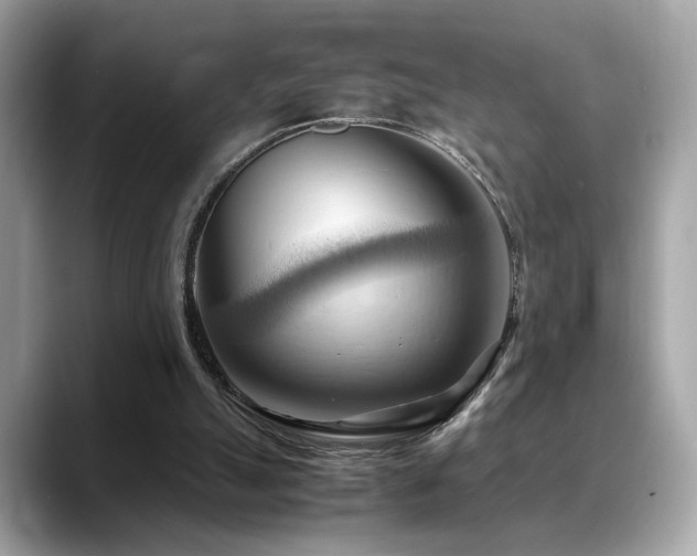 X0000088740055200705311455