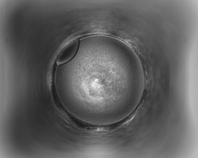 X0000088740056200705311455