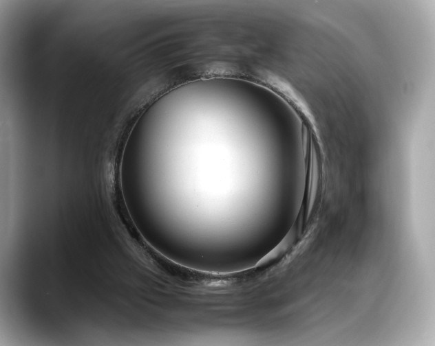 X0000088740057200705311455